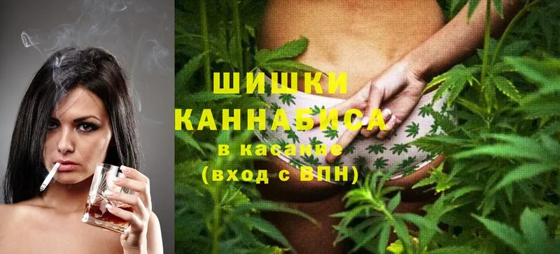 Канабис конопля  Ветлуга 